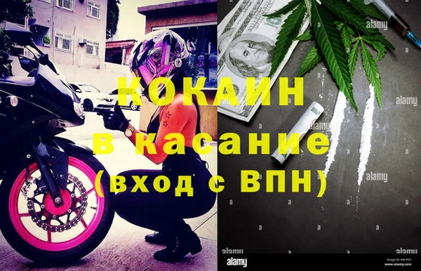 каннабис Аркадак