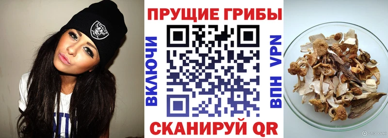 сколько стоит  нарко площадка какой сайт  Псилоцибиновые грибы мухоморы  Новый Оскол 